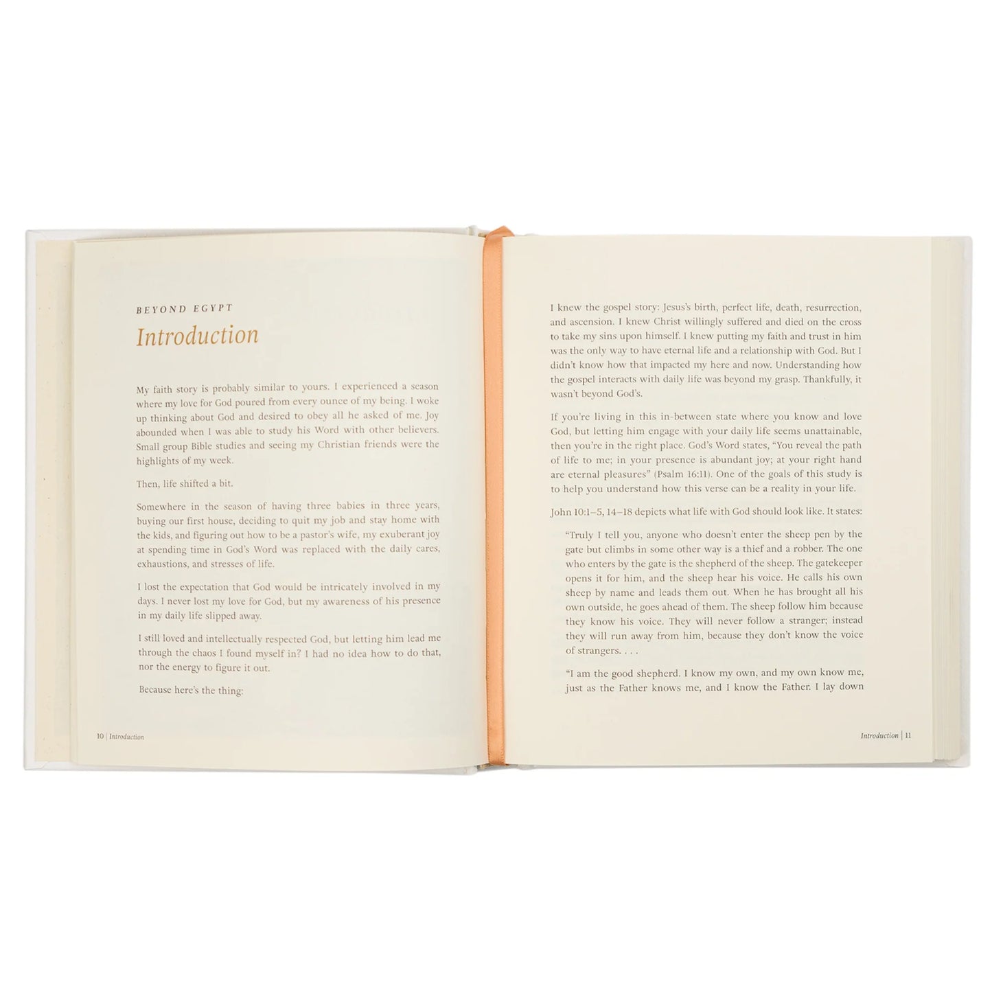 Beyond Egypt | Bible Study