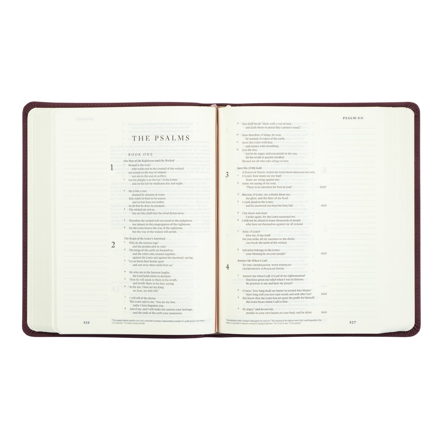 Journaling Bible | Helena Theme