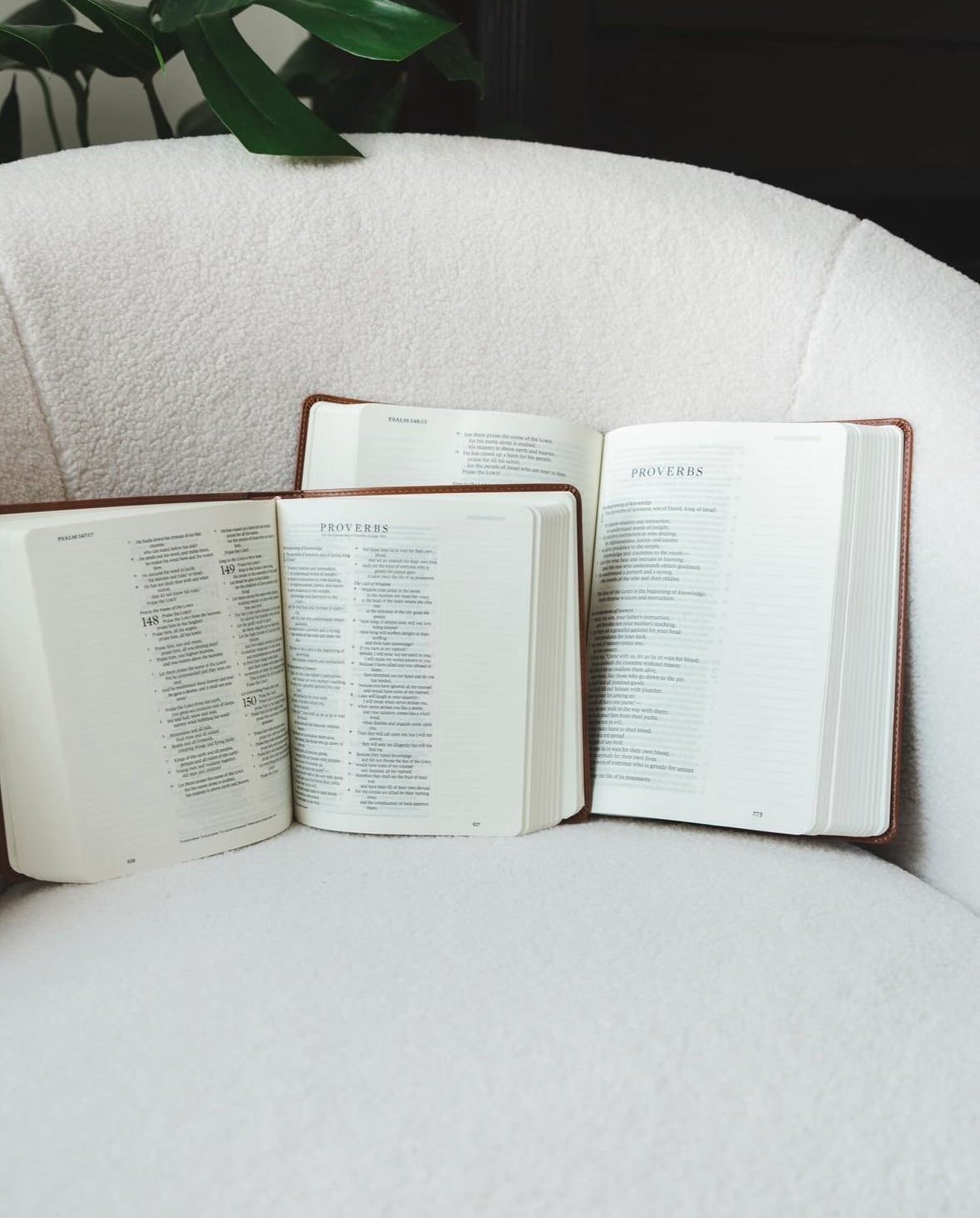 ESV Large Print Journaling Bible : Sierra Theme