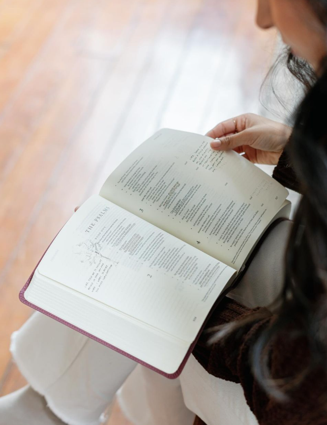 Journaling Bible | Helena Theme