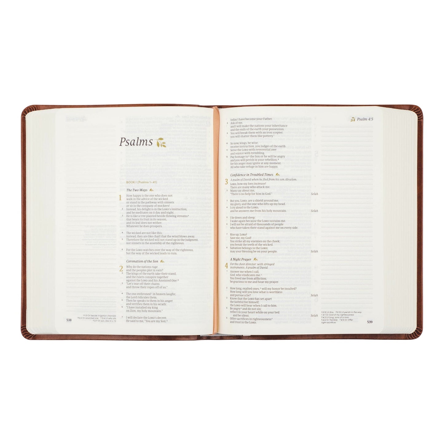 Notetaking Bible | Vienna Theme